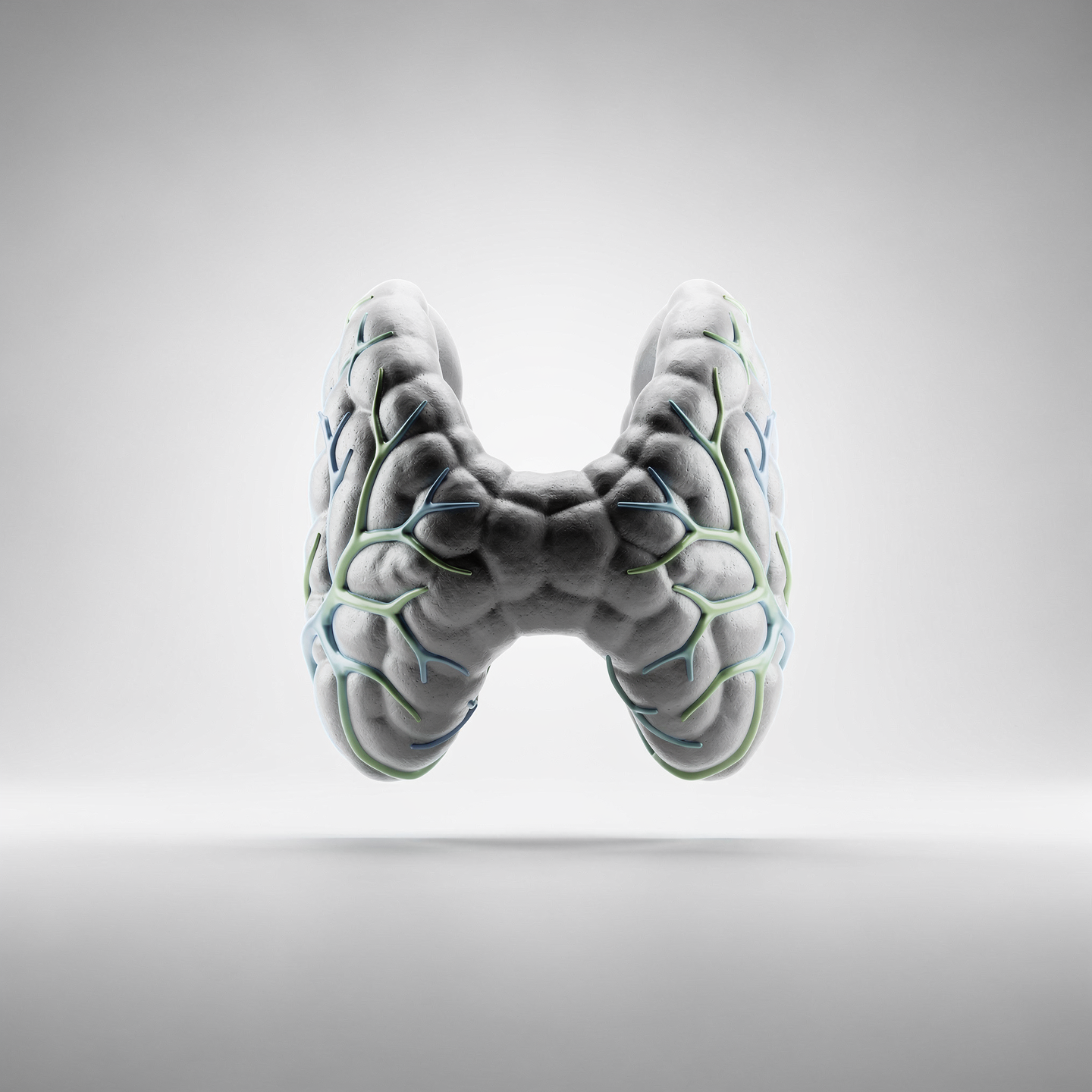 Imagen de una glándula tiroides